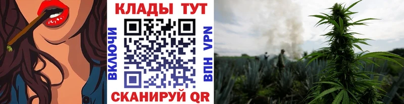 Где купить Дальнереченск Марихуана  Alpha PVP  Гашиш  АМФЕТАМИН  Мефедрон 