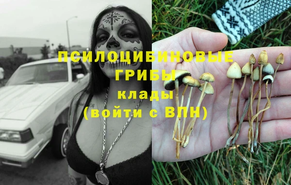 стаф Алексеевка