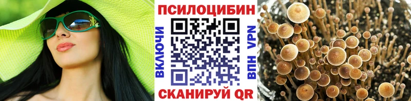 omg вход  Дальнереченск  Галлюциногенные грибы GOLDEN TEACHER 